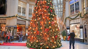 Letzte Generation besprüht Weihnachtsbäume mit oranger Farbe