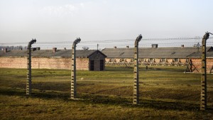 Sollten Demokraten mit der AfD nach Auschwitz reisen?