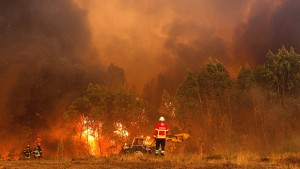 Viele Waldbrände in Portugal – 1400 Menschen in Odemira in Sicherheit gebracht