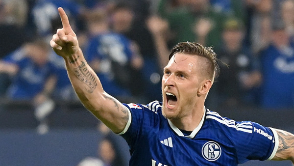 Soll künftig für Darmstadt jubeln: Sebastian Polter kommt vom FC Schalke 04.