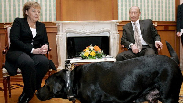 Diplomatie ist dann wohl, wenn man trotzdem lacht: Putin brachte zu einem Treffen mit Merkel einen Hund mit, obwohl diese angeblich eine Phobie vor den Vierbeinern hat.