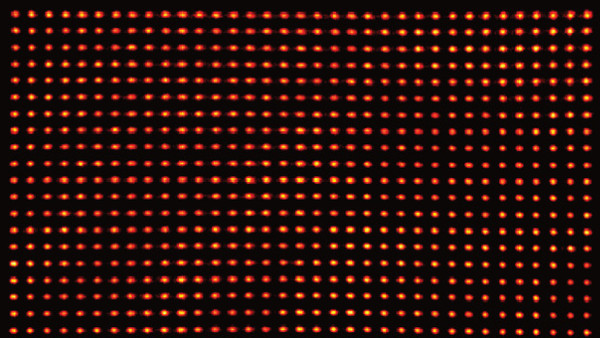 Jeder Punkt ein Qubit: Fluoreszenzbild einer Anordnung aus 1225 neutralen Caesium-Atomen, gehalten von in einem (hier unsichtbaren) Gitter aus Laserstrahlen. Das Bild ist etwa 100 Mikrometer oder 0,1 Millimeter breit.