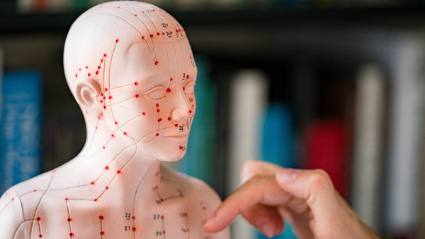Ein Akupunkturmodell des weiblichen Körpers. Dort sind Zonen gekennzeichnet, auf denen die Nerven liegen, die mit Nadeln stimuliert werden.