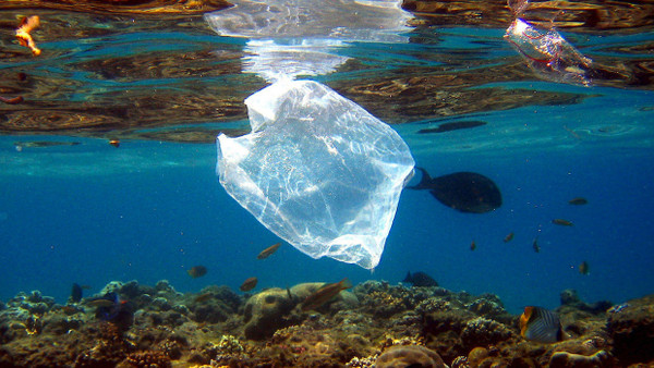 Eine Plastiktüte treibt im offenen Meer herum.