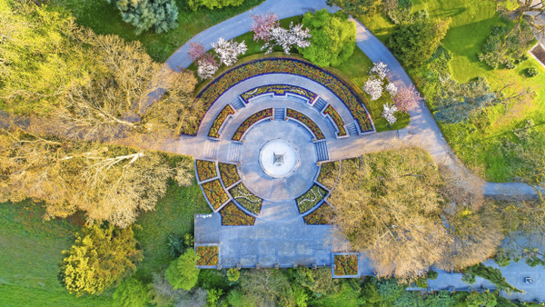 Ungewohnter Anblick: Der Schwanenbrunnen auf der Insel Mainau umrahmt von blühenden Zierkirschen.
