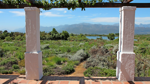 Blick aus den Fynbos-Cottages im historischen Weingut Babylonstoren
