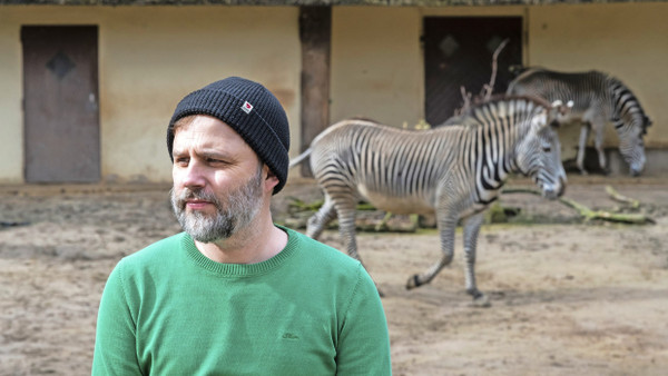 An diesem Ort und mit diesen Tieren fängt 1927 alles an: Florian Wacker vor den Zebras des Frankfurter Zoos