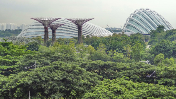 Wo der Dschungel aufhört und der Garten anfängt, ist in Singapur auf den ersten Blick nicht immer leicht zu erkennen. Hier allerdings handelt es sich um die Gardens by the Bay.