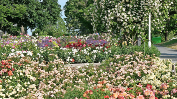 Erfurt genoss einst den Ruf einer bedeutenden Blumenstadt: Der Egapark