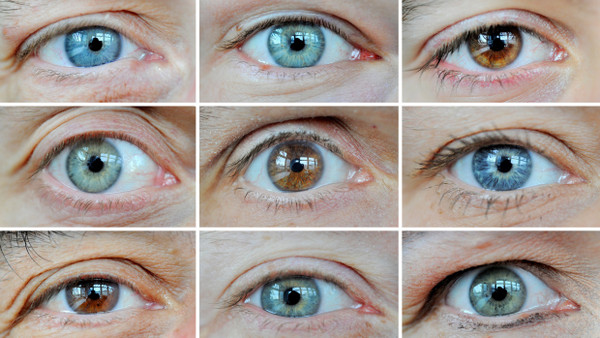 Die Auflösung des Sehens ist komplexer als gedacht.