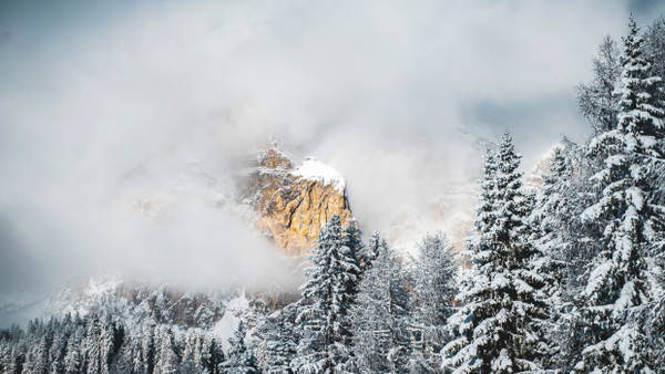 Nebel darf Südtiroler Skilehrer nicht davon abhalten, einen klaren Blick auf die Umgebung zu bewahren.