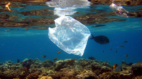 Eine Plastiktüte schwimmt über Korallen im Roten Meer in Ägypten. Ob Sie zu einem Produkt aus Meeresplastik recycelt werden kann, ist fraglich.