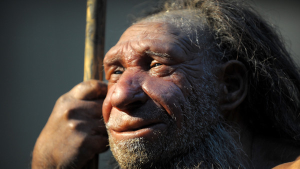 Ein ausgeschlafener Geselle: Nachbildung eines älteren Homo neanderthalensis im Neanderthal-Museum in Mettmann.