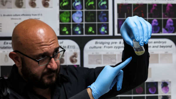 Der Stammzellforscher Jacob Hanna vom israelischen Weizmann Institute of Science präsentiert seine im Labor hergestellten Embryonen in der Kulturflasche.