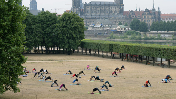 Teilnehmer nehmen bei einem Yoga-Kurs unter freiem Himmel auf einer Wiese am Ufer der Elbe