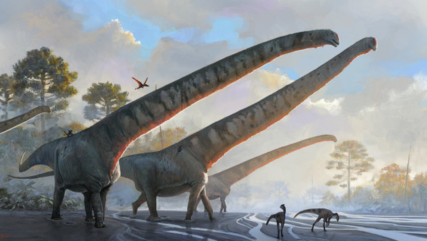 Eine Illustration des Natural History Museums zeigt „Mamenchisaurus sinocanadorums“. Forscher der Stony Brook University gehen davon aus, dass die Saurierart auf eine Halslänge von mehr als 15 Metern kam.