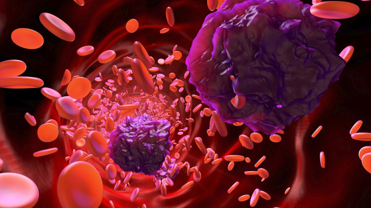 Simulierter Blick in ein Blutgefäß mit zahlreichen roten und weißen Blutzellen und Blutplättchen.