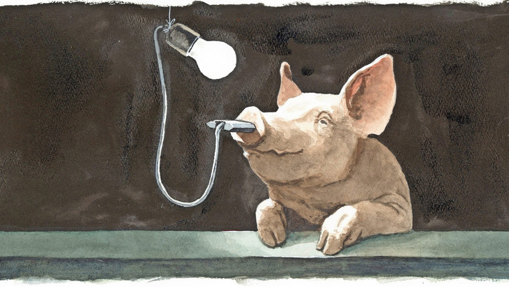 Aus der Schnauze eines Schweins wird Energie für eine Lampe gewonnen.