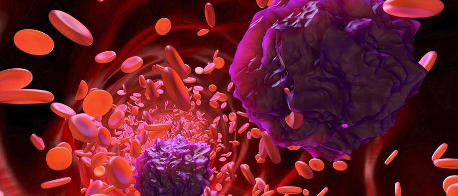 Simulierter Blick in ein Blutgefäß mit zahlreichen roten und weißen Blutzellen und Blutplättchen.