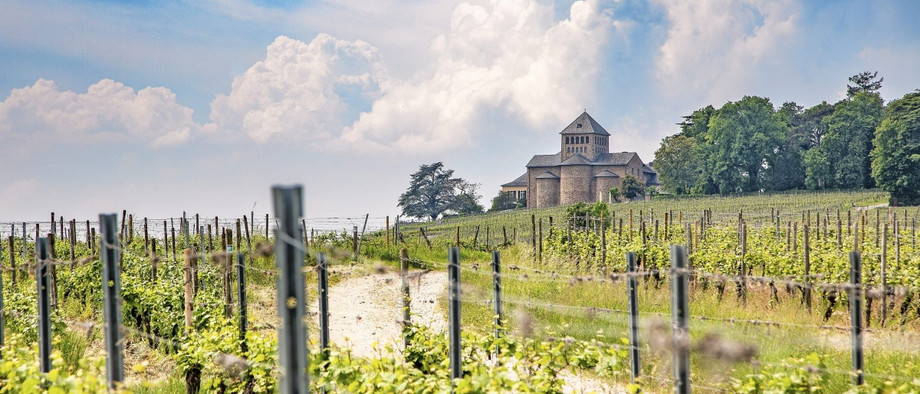 Schloss Johannisberg hat alles Nötige für edle Weine, findet  die Sommelière  Stefanie Hehn.