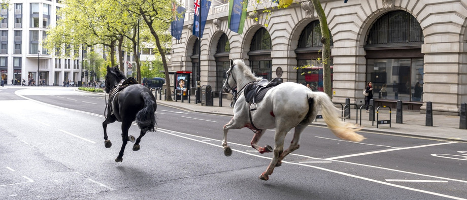 Zwei Pferde galoppieren durch die Straßen von London.