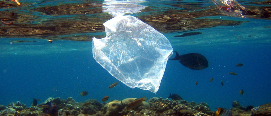 Plastikmüll im Roten Meer in Ägpyten.