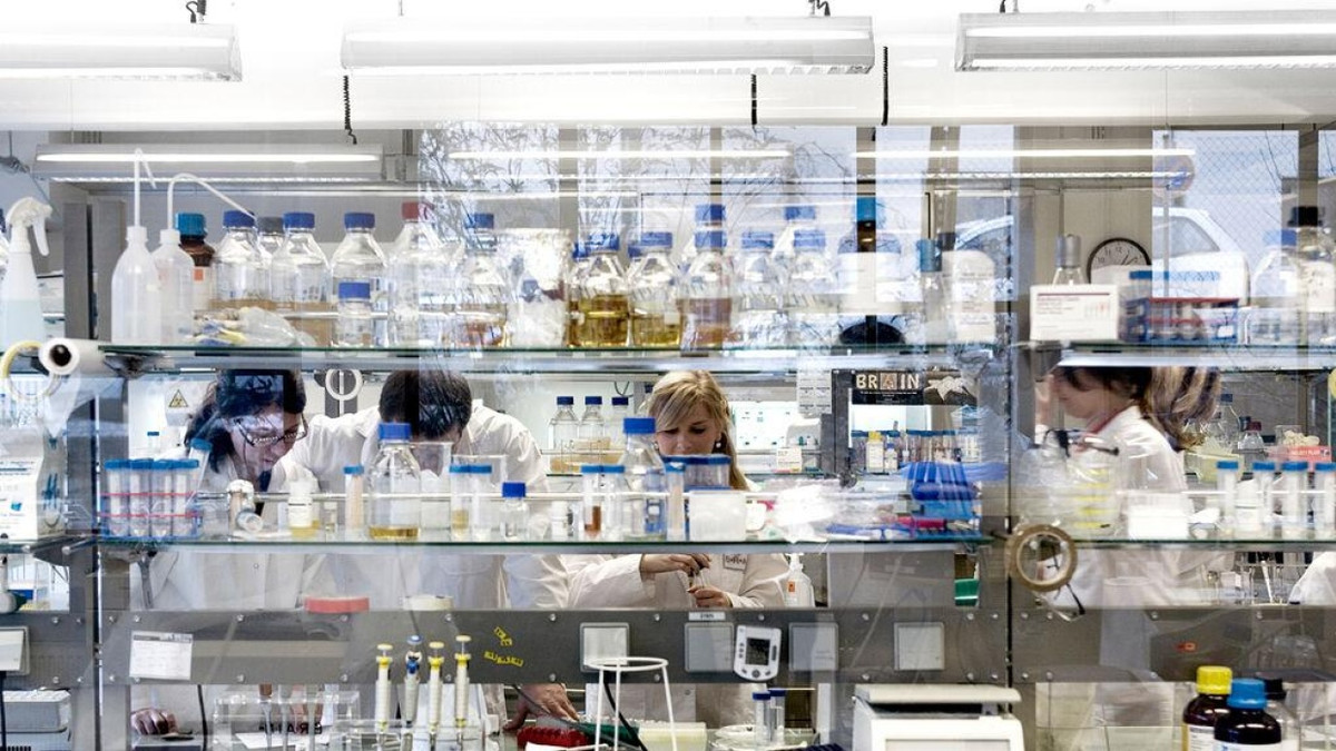 Profitabel durch die Lebensmittelbranche: Das Labor von Brain Biotech im hessischen Zwingenberg entwickelt Enzyme – die finden auch in Hafermilch Verwendung.