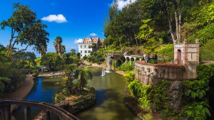 Dieser Garten auf Madeira ist echt vertikal