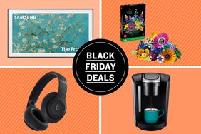 Roundup: Black Friday Best Buy Tout