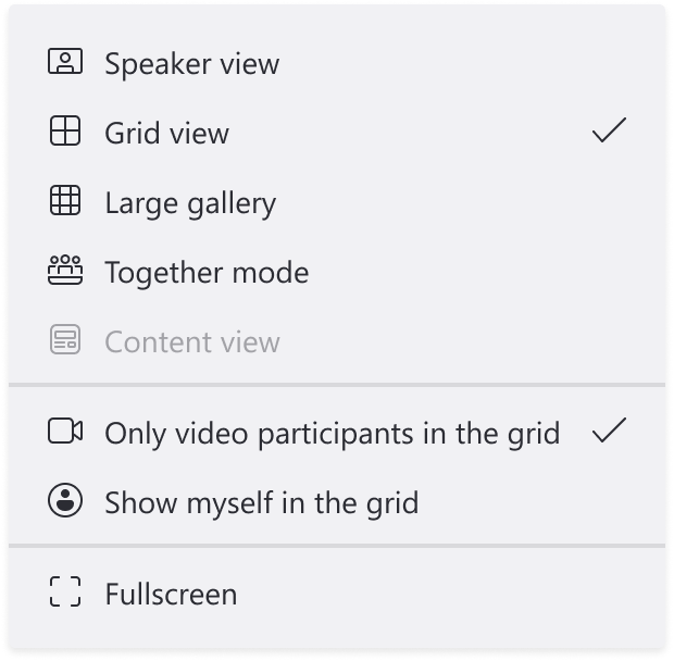 Image showing light theme with View selected and showing different option of the calls like grid view, large gallery or Together mode