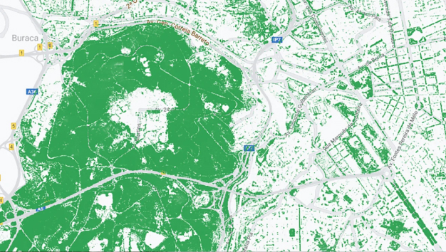 Image of Tree Canopy feature on Environmental Insights Explorer