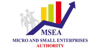 Micro and Small Enterprise Authority (MSEA)