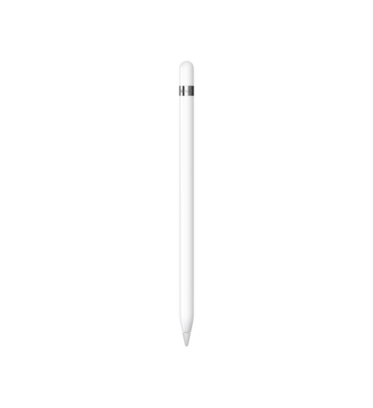 Apple Pencil (1. Generation).