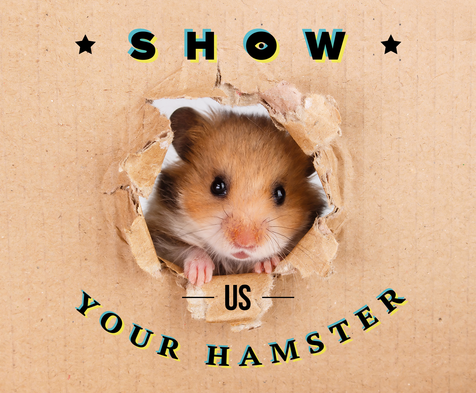 1000 USD For Your Hamster`s Photo!