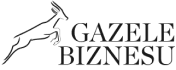 E-gazele biznesu logo